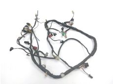 Faisceau electrique