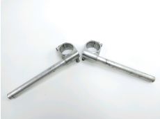 Guidon