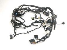 Faisceau electrique