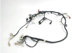 Faisceau electrique