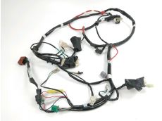 Faisceau electrique