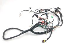 Faisceau electrique