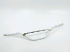 Guidon
