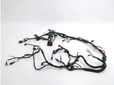 Faisceau electrique