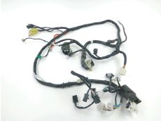 Faisceau electrique