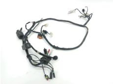 Faisceau electrique