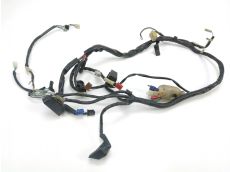 Faisceau electrique