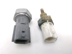 Sonde