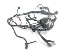 Faisceau electrique