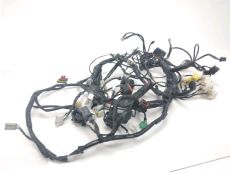 Faisceau electrique