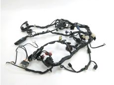 Faisceau electrique