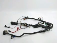 Faisceau electrique