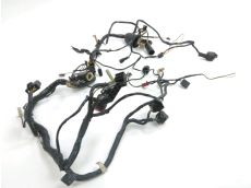 Faisceau electrique