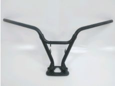 Guidon
