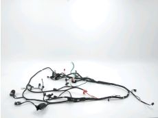 Faisceau electrique