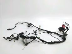 Faisceau electrique