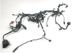 Faisceau electrique