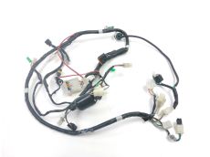 Faisceau electrique