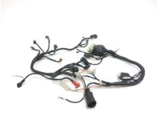 Faisceau electrique