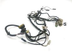 Faisceau electrique