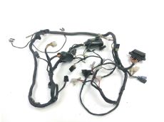 Faisceau electrique
