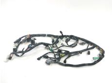 Faisceau electrique