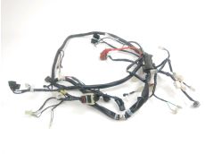 Faisceau electrique