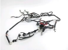 Faisceau electrique
