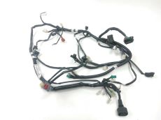 Faisceau electrique