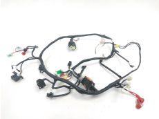 Faisceau electrique