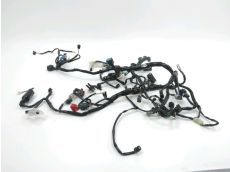 Faisceau electrique