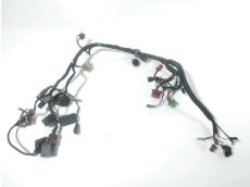 Faisceau electrique