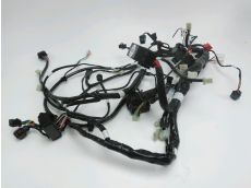 Faisceau electrique
