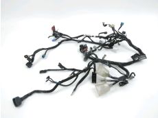 Faisceau electrique