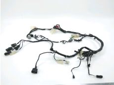 Faisceau electrique