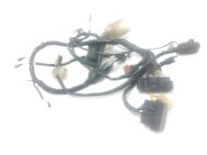 Faisceau electrique