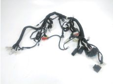 Faisceau electrique