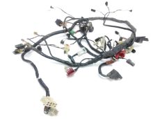 Faisceau electrique