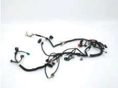 Faisceau electrique