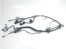 Faisceau electrique
