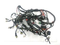 Faisceau electrique