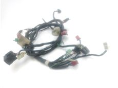 Faisceau electrique