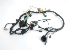 Faisceau electrique