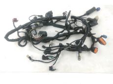 Faisceau electrique