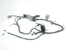 Faisceau electrique