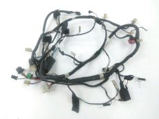 Faisceau electrique