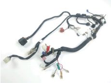 Faisceau electrique