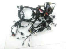 Faisceau electrique