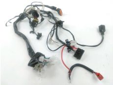 Faisceau electrique