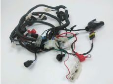Faisceau electrique